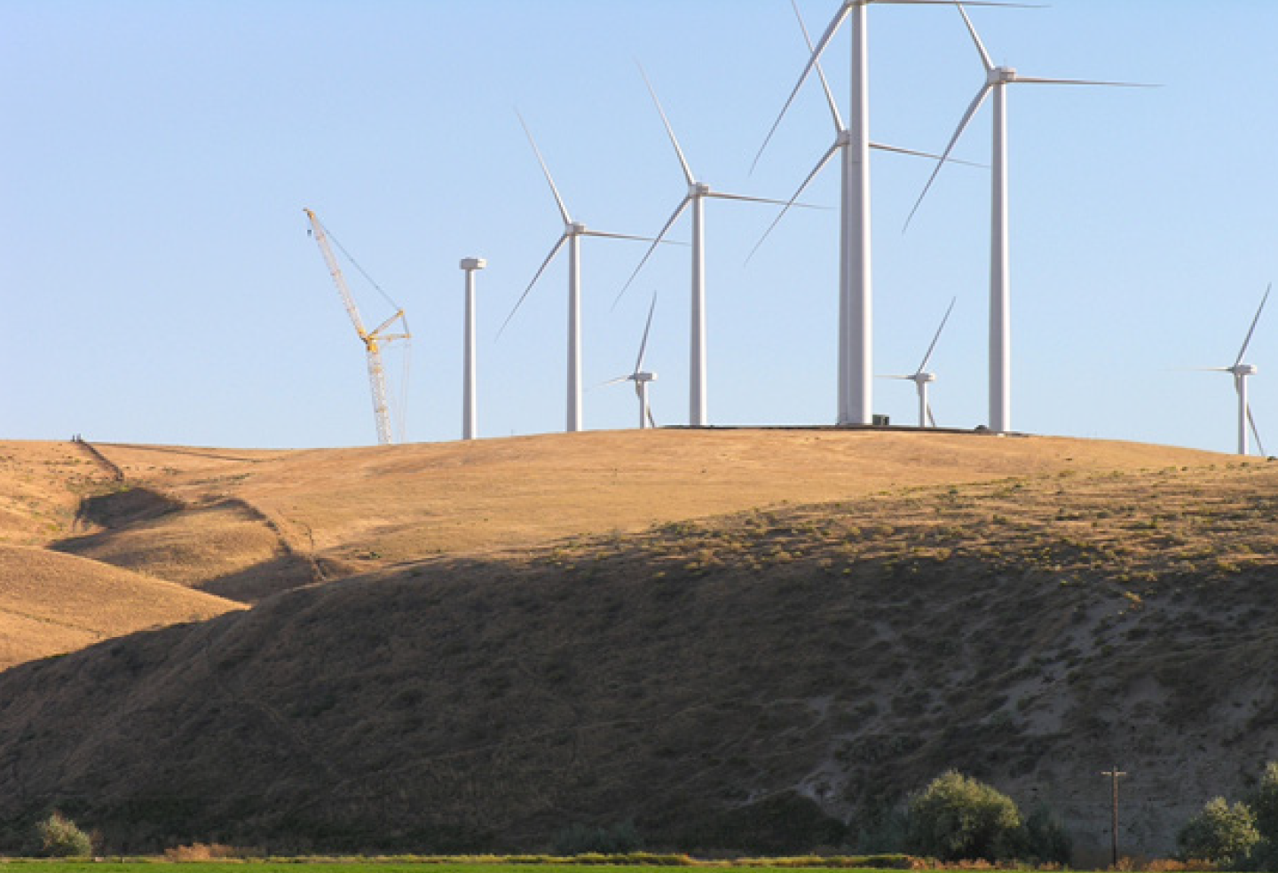 Mark4Fund Manhattan Street Capital